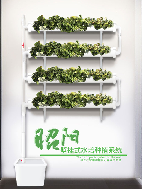 江苏荣诚农业科技发展有限公司：壁挂式水培种植系统