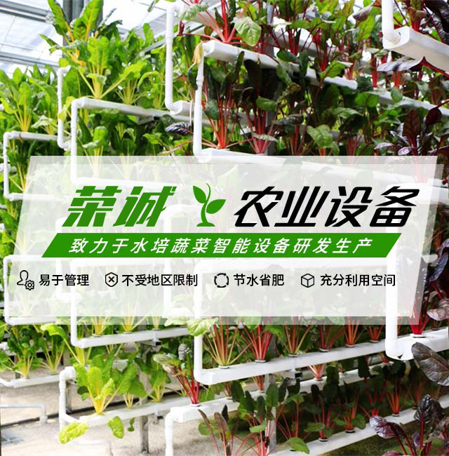 荣诚农业设备-致力于水培蔬菜智能设备研发生产