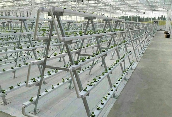 江苏荣诚农业：在现代温室设计当中，种植槽所占份额比例普遍偏低