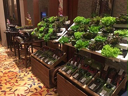 无土栽培：“蔬乐管“携水培蔬菜走进餐厅！