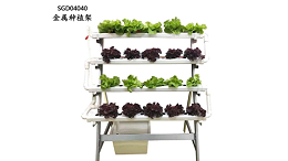 这样的阳台立体种植蔬菜架，你值得拥有哟！