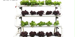 家庭无土栽培蔬菜设备，看准蔬菜种植架！