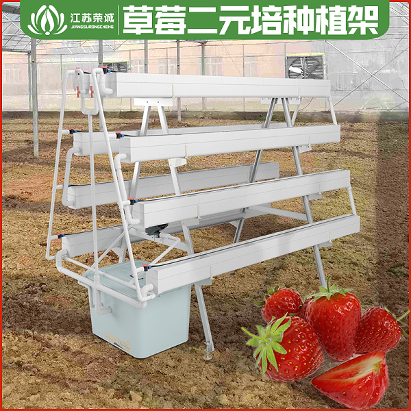 江苏荣诚农业科技发展有限公司：草莓二元培种植架-红颜
