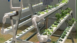 立体无土栽培设备，让你轻松在家种菜！