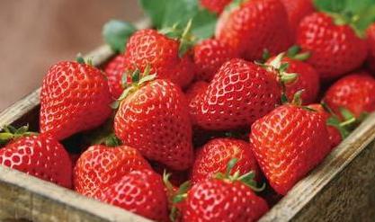 草莓 图片来源于网络